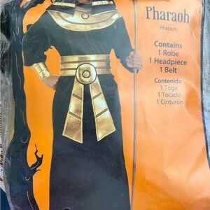 Pharaoh adult men’s Costume - Black and Gold